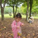 (가을소풍🍂) 선선한 날씨와 함께한 경마장🐎 이미지