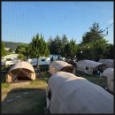 텐타우스 이미지