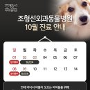 조형선외과동물병원 이미지