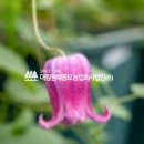 농업회사법인(주)대림 이미지