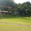 동백 숲속애견랜드 이미지