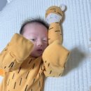 디비디비스튜디오