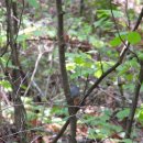 은평-021 이미지