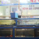 원스끼다시 천국 이미지