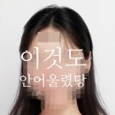 젤리스노우 이미지