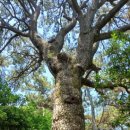 동산한의원 이미지