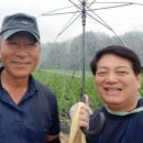 장씨농장 이미지