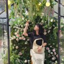 현대쇼핑 이미지