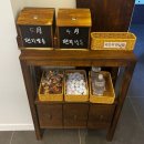 빈스바이크 빈스애견호텔 | 전주 애견동반 호텔 메종드온유 | 가족여행 자쿠지 숙소 솔직 후기