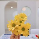 효성반디어린이집 이미지