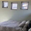 제주 하연 이미지