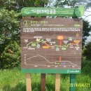 아미초등학교 이미지