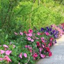 남해스토리 이미지