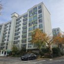 건영아파트후문 이미지