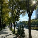 (주)사이버애드 | 청소년상담사 3급 국가자격 연수 후기
