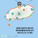 세번째 제주 250키로 걷기대회 2 이미지