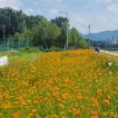 서일공원 이미지