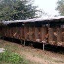 경인농장 이미지