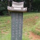 최제, 최혁 효자 정문 이미지