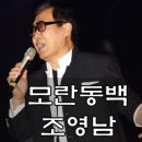 모란 동백(조영남) 이미지