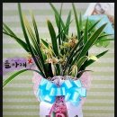 뜰아래플라워 이미지