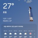 입파지 | 장인 더 대전점 세모약과 파지약과 내돈내산 후기