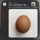 킹스DC마트 | 10월은 나의 달