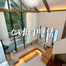 스테이 명암 이미지