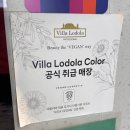 [상도역 미용실] 네바에미용실에서 빌라로도라 비건 염색 받고 온 후기