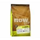 견생일기 이미지