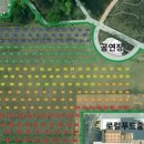 평택시 농업생태원2 이미지