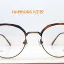 H3110 이미지