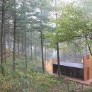 둔내태성도서관 이미지