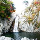 단풍여행 (설악산 과 내장산) 이미지