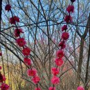 지랑마을 이미지