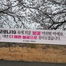 조천 이미지