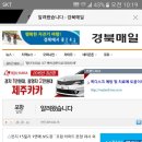경북매일일보 정정기사 이미지