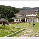 송강유도관 이미지