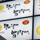 달아달아민속주점 네이버블로그