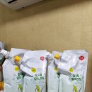 엘샤론염색 이미지