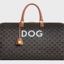 럭셔리 펫 이미지