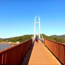 기찬 숲탐방 이미지