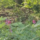 석정어린이공원 이미지