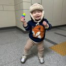 ~ D+361 / 11개월 후기, 첫 사회생활의 시작 &amp; 나도 돌끝맘 ! !