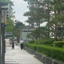 대치동미용실 에코쟈뎅 대치테라스점 단발 커트 솔직 후기