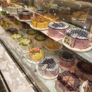 구로 케이크 맛집 디저트샵시소 신세계강남 스위트파크 팝업 내돈내산 솔직후기 블루베리요거트케이크...