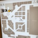 정돈 프리미엄 현대백화점 압구정본점 네이버블로그