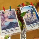 복돌네민박 이미지