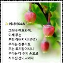 토기장이 Daum카페