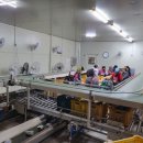 농산물종합유통센터 이미지